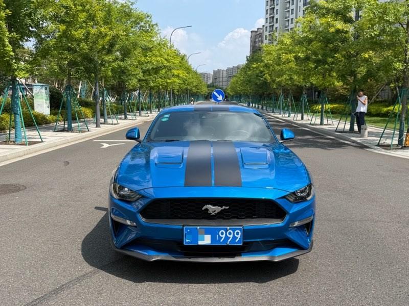 Ford Mustang Mach-E 2019 thumb 9