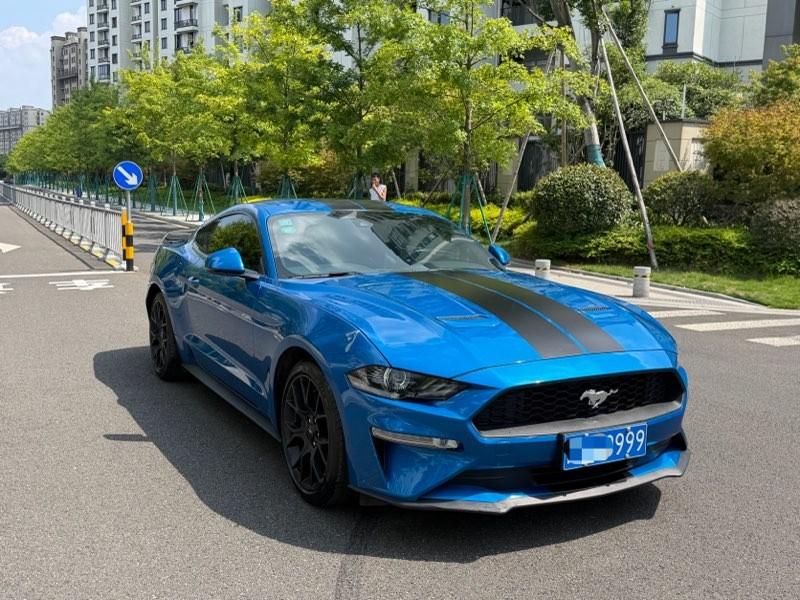Ford Mustang Mach-E 2019 thumb 10