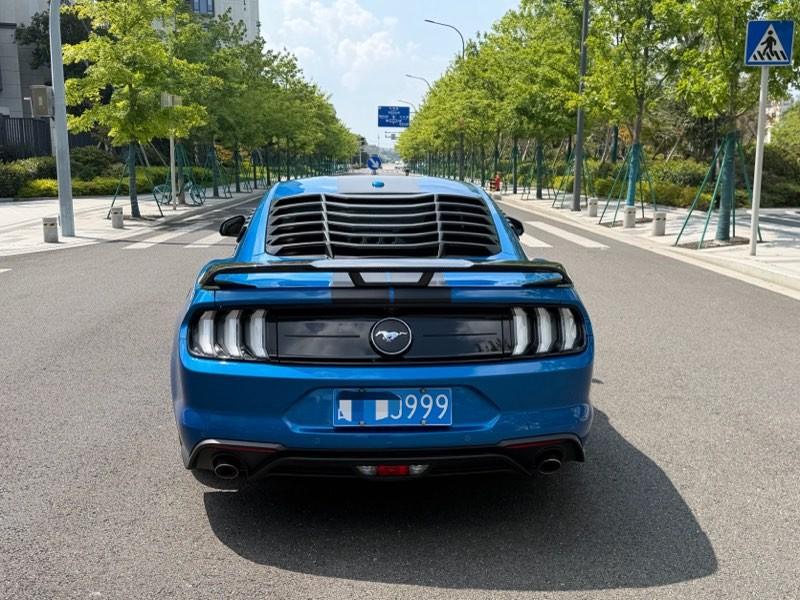 Ford Mustang Mach-E 2019 thumb 12