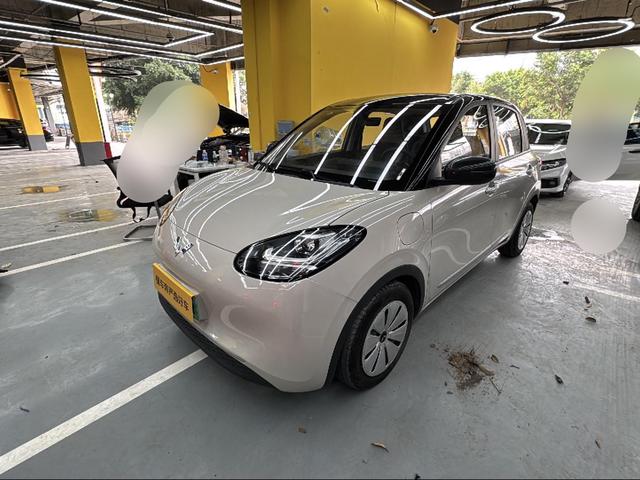 Wuling Bin Guo 2023 thumb 11