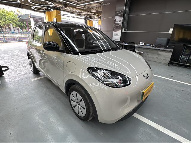 Wuling Bin Guo 2023 thumb 12