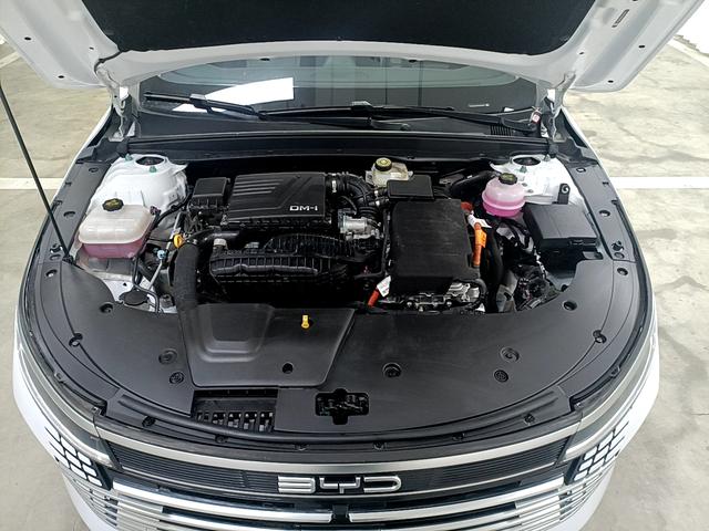 BYD Destroyer 05 2024 thumb 8