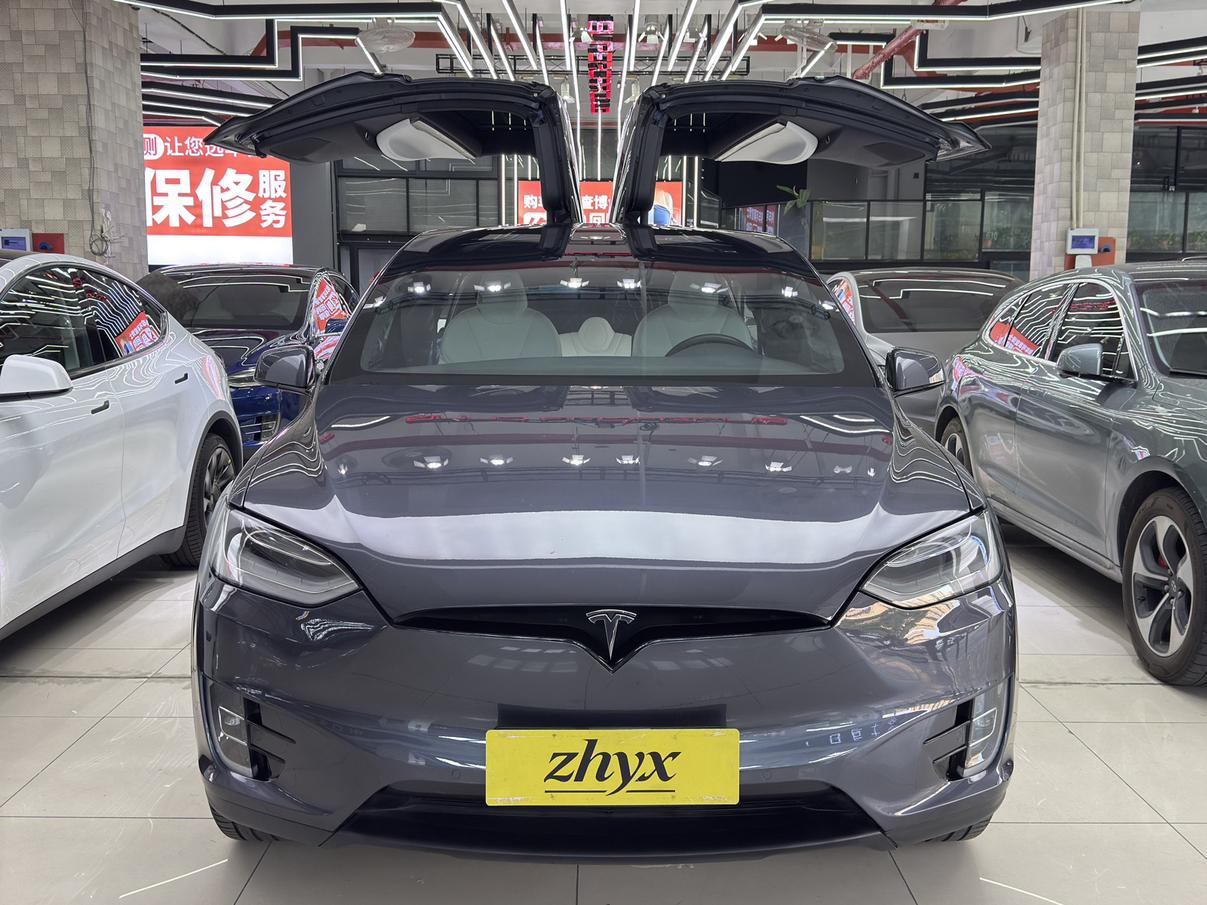 Tesla Model X 2019 thumb 6
