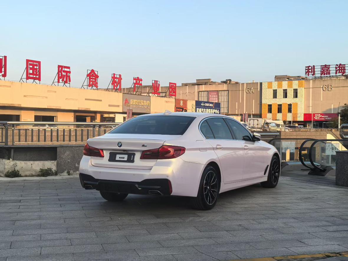 BMW 5 серии 2019 thumb 2