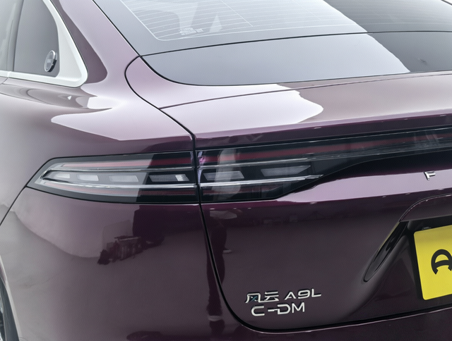 Chery Fengyun Fengyun A9L 2025 thumb 11