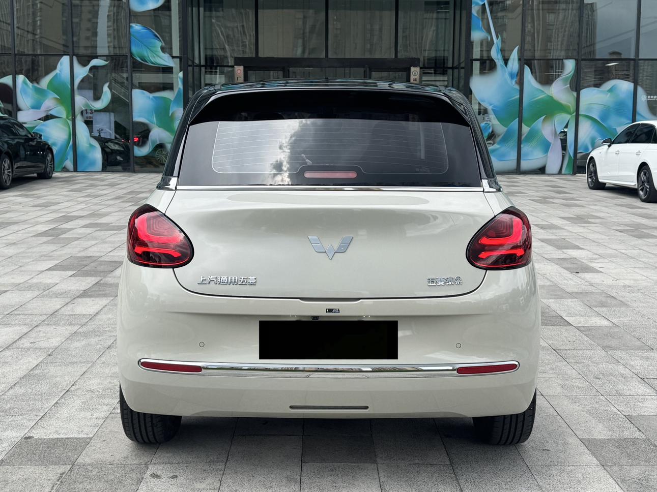 Wuling Bin Guo 2024 thumb 12