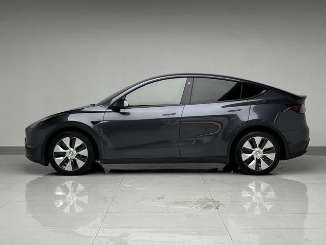 Tesla Model Y 2021 thumb 2