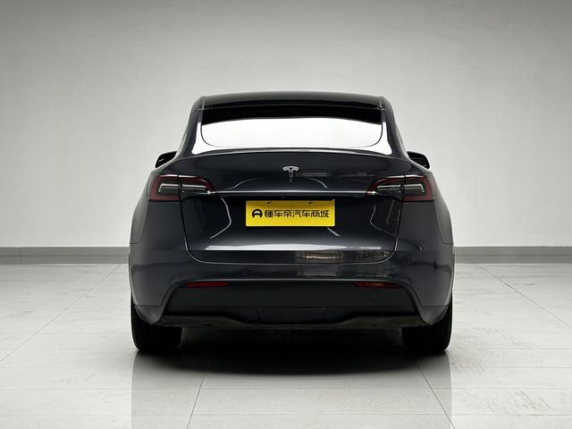 Tesla Model Y 2021 thumb 4