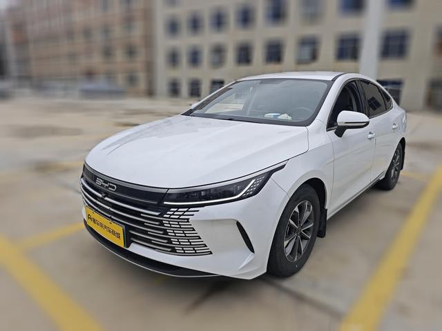 BYD Destroyer 05 2024 thumb 11