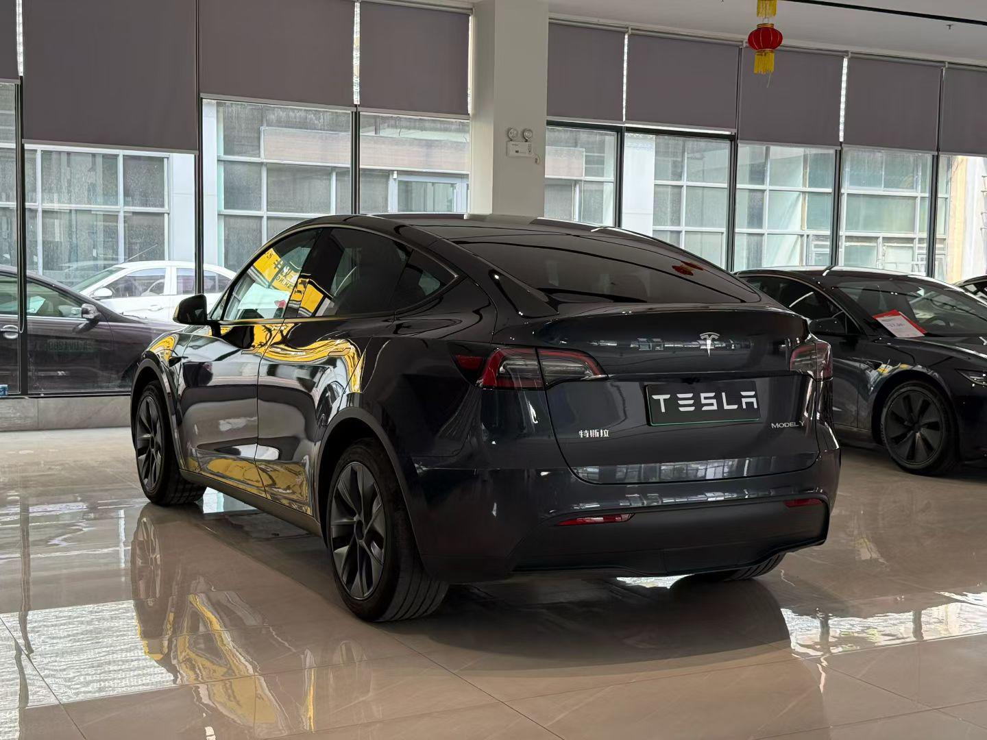 Tesla Model Y 2024 thumb 2