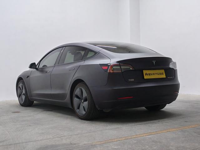 Tesla Model 3 2019 thumb 3