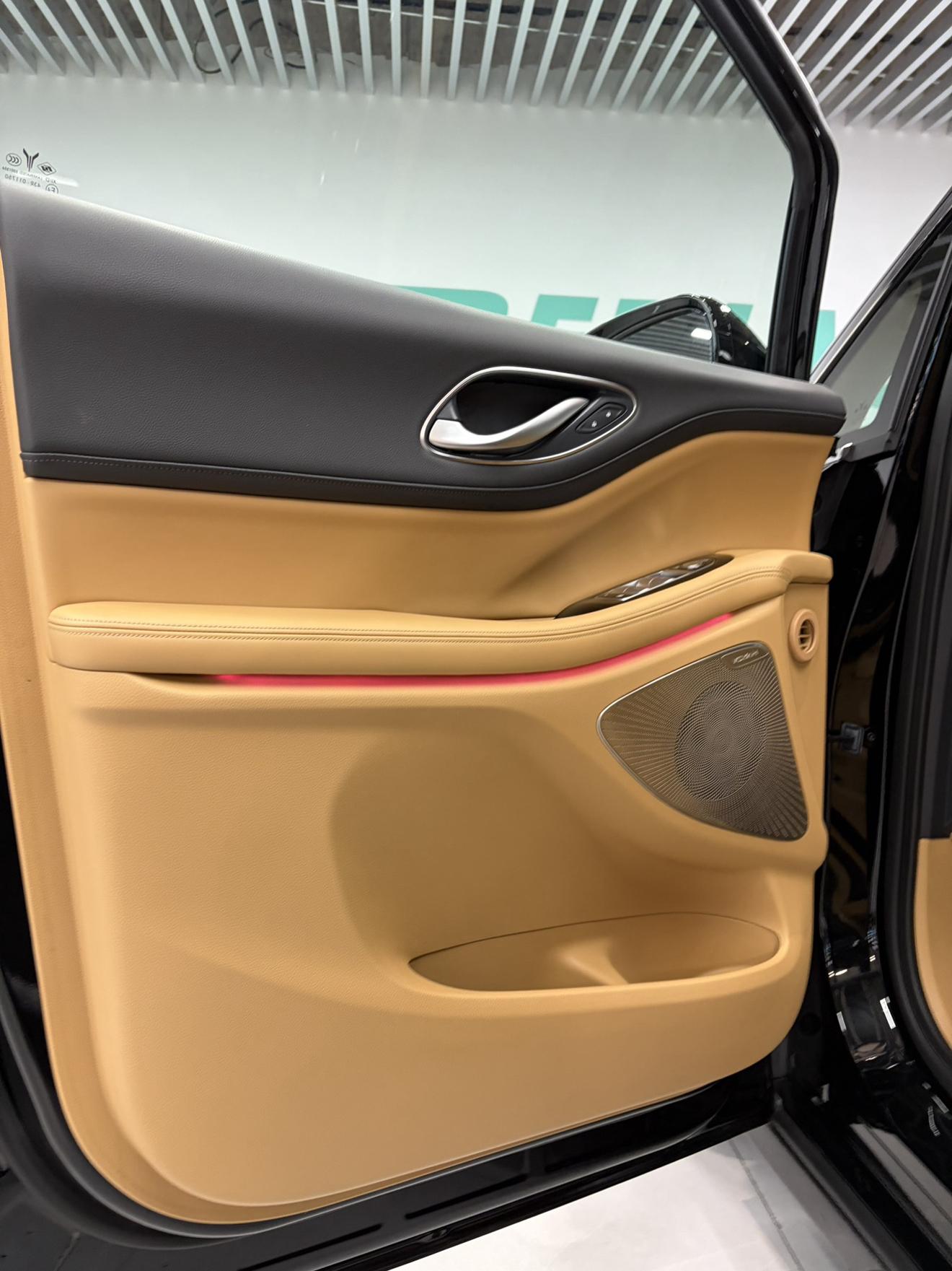 Voyah PHEV 2025 thumb 6