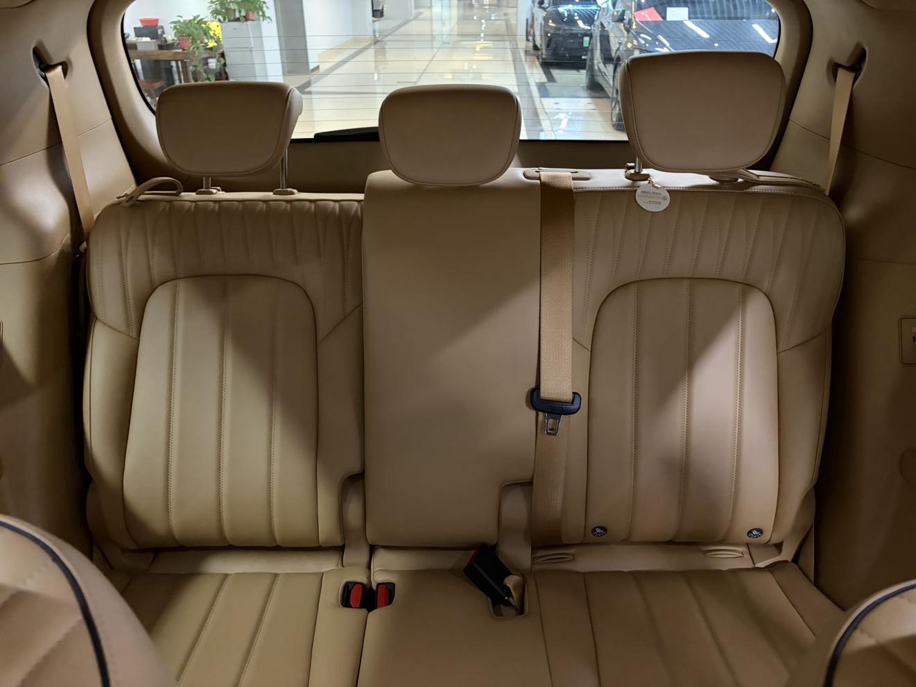 Voyah PHEV 2025 thumb 11