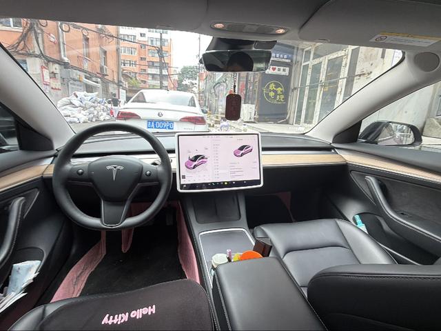 Tesla Model 3 2022 thumb 3