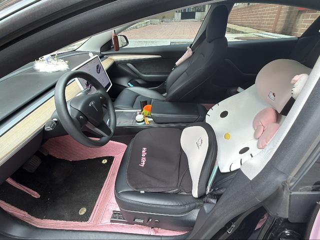 Tesla Model 3 2022 thumb 8