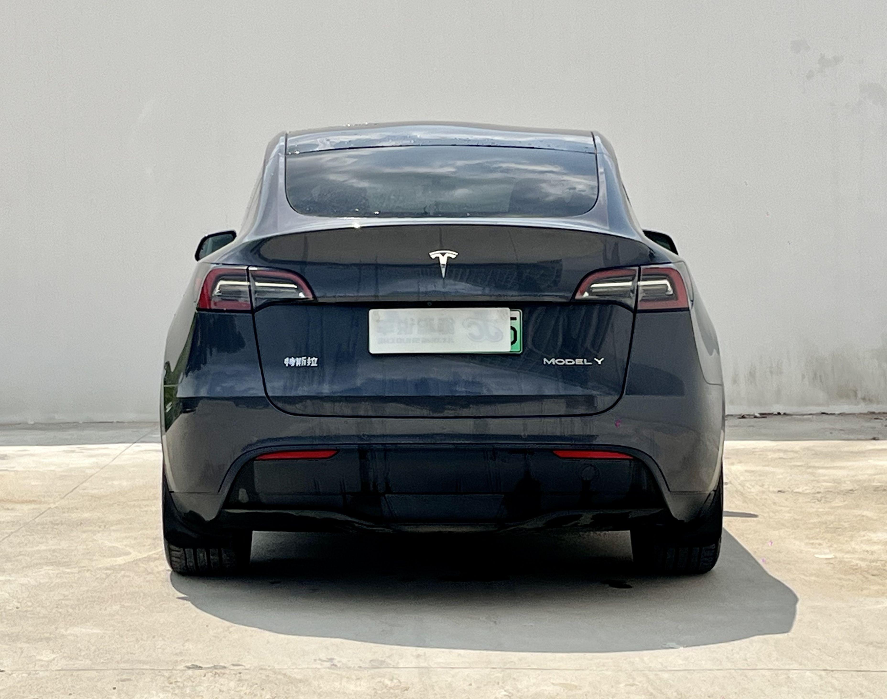 Tesla Model Y 2021 thumb 3
