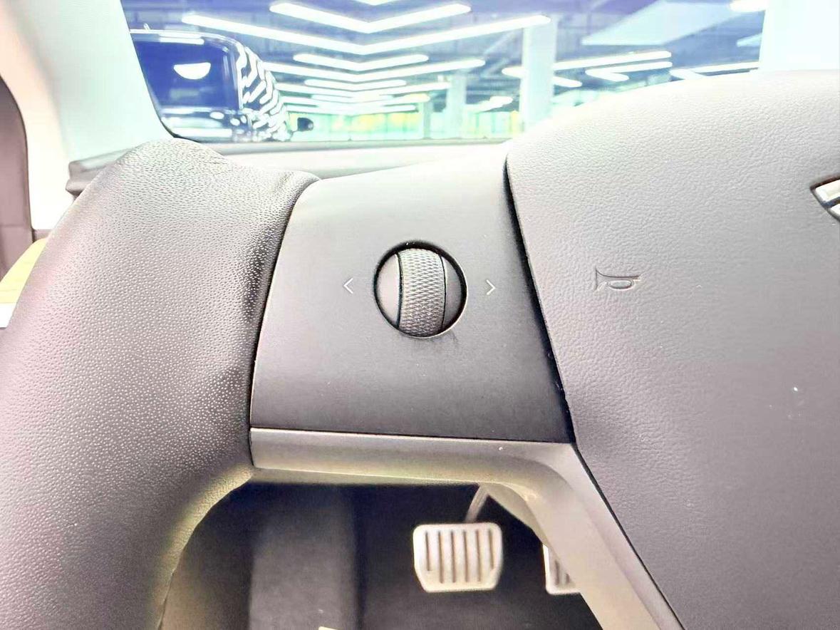 Tesla Model 3 2020 thumb 5