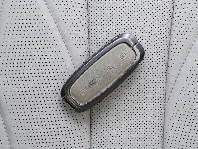 Denza D9 DM 2024 thumb 9