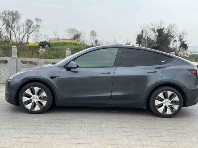 Tesla Model Y 2021 thumb 2