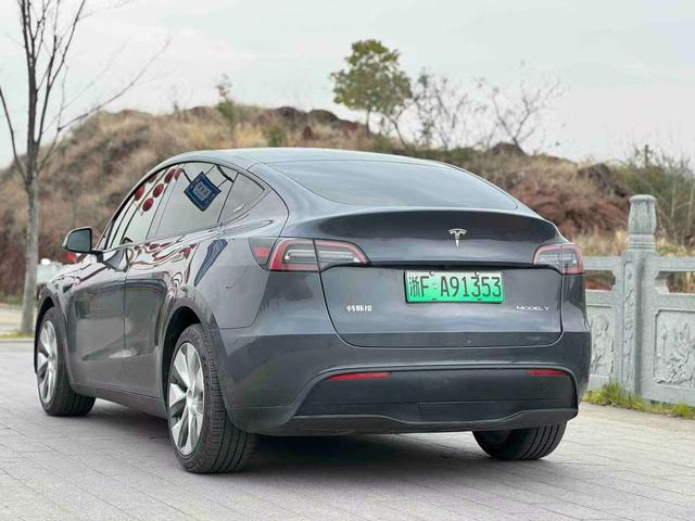 Tesla Model Y 2021 thumb 3