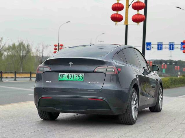 Tesla Model Y 2021 thumb 5