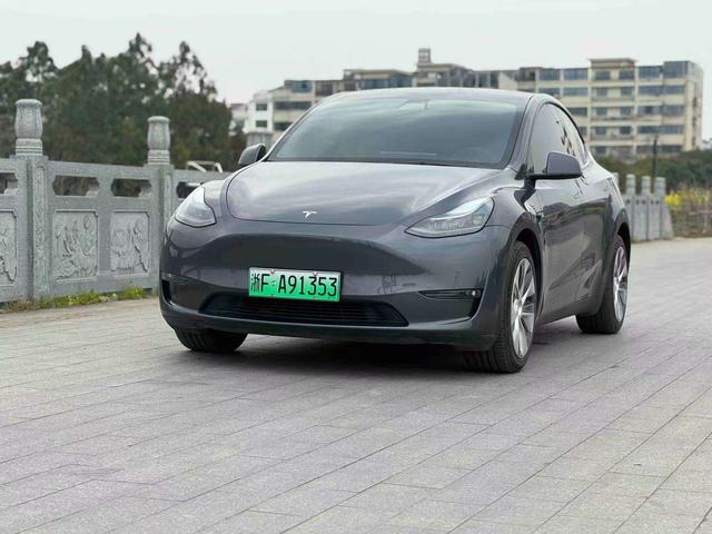 Tesla Model Y 2021 thumb 12