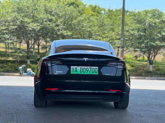 Tesla Model 3 2020 thumb 4