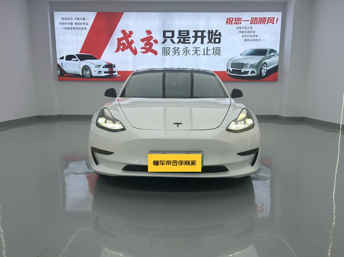 Tesla Model 3 2020 thumb 10