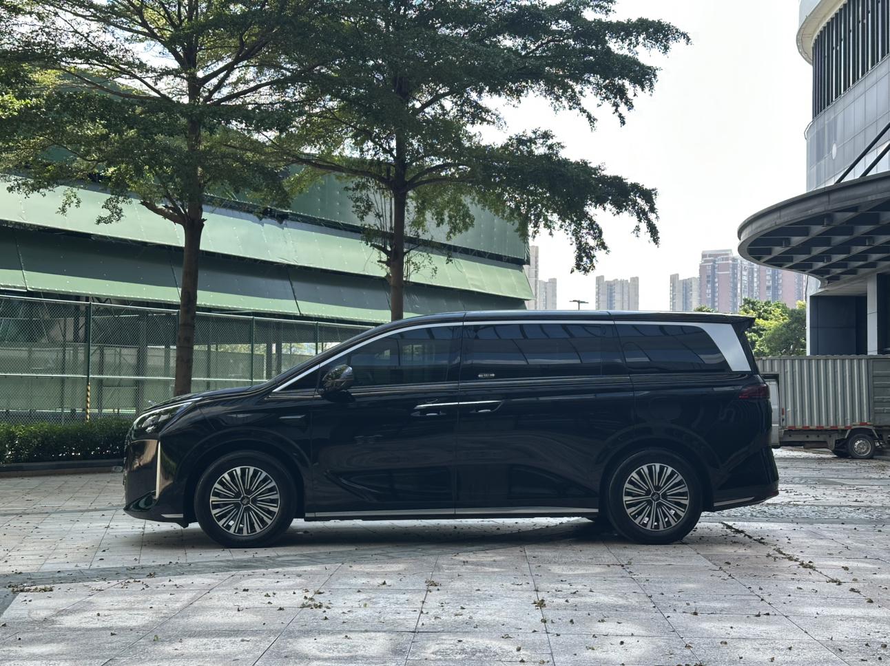 BYD Xia (M9) 2025 thumb 2