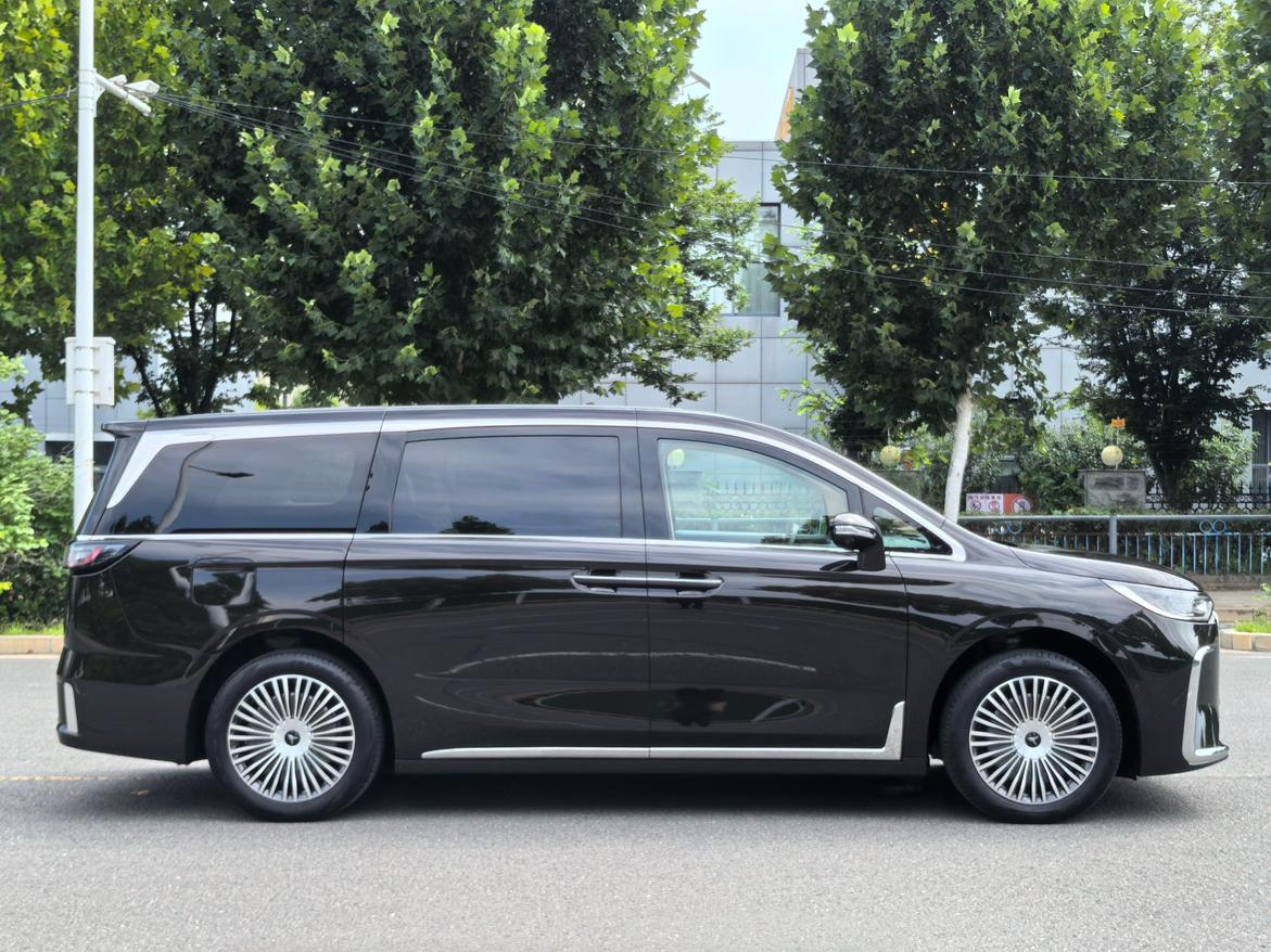 Voyah PHEV 2025 thumb 5