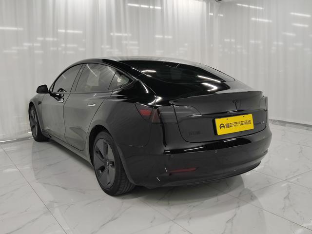 Tesla Model 3 2021 thumb 3