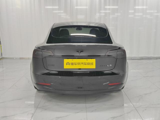 Tesla Model 3 2021 thumb 4