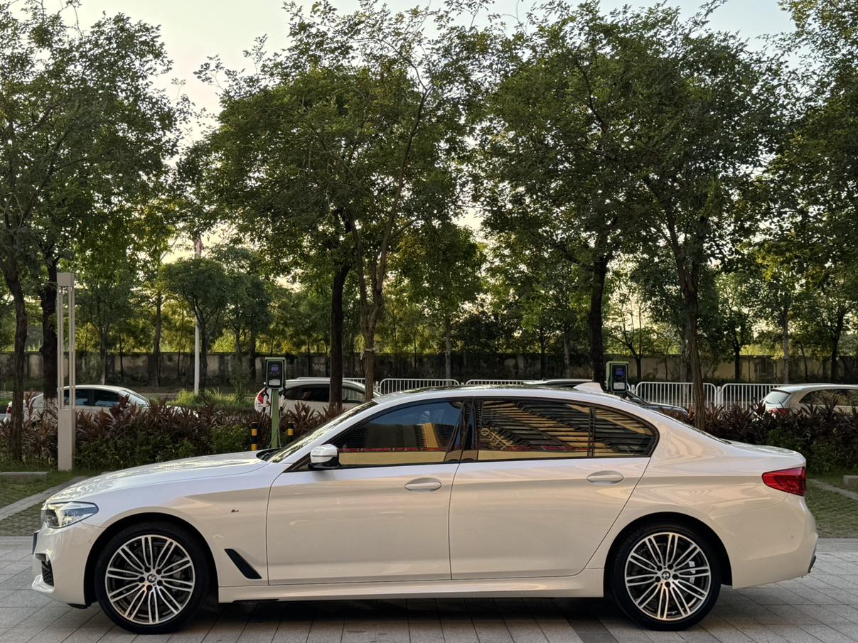 BMW 5 серии 2019 thumb 2