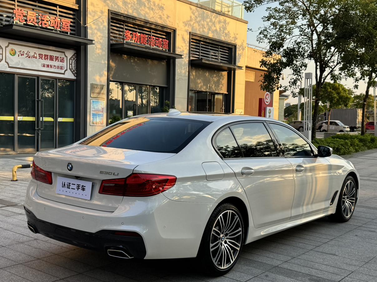 BMW 5 серии 2019 thumb 5