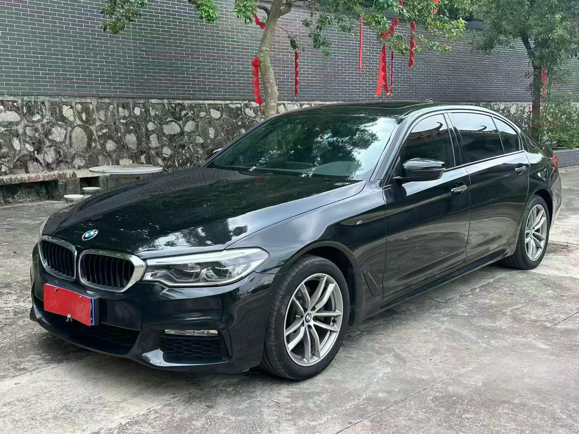 BMW 5 серии 2018 thumb 8