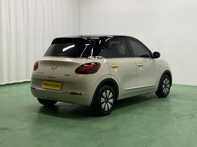 Wuling Bin Guo 2024 thumb 5