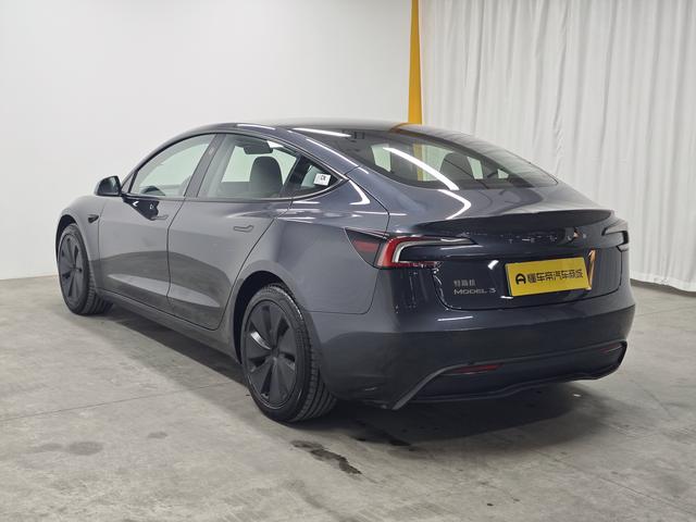 Tesla Model 3 2025 thumb 3
