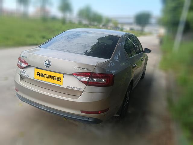 Skoda Ming Rui 2018 thumb 12