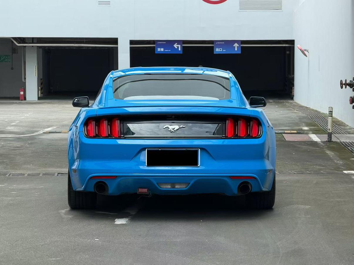 Ford Mustang Mach-E 2017 thumb 2