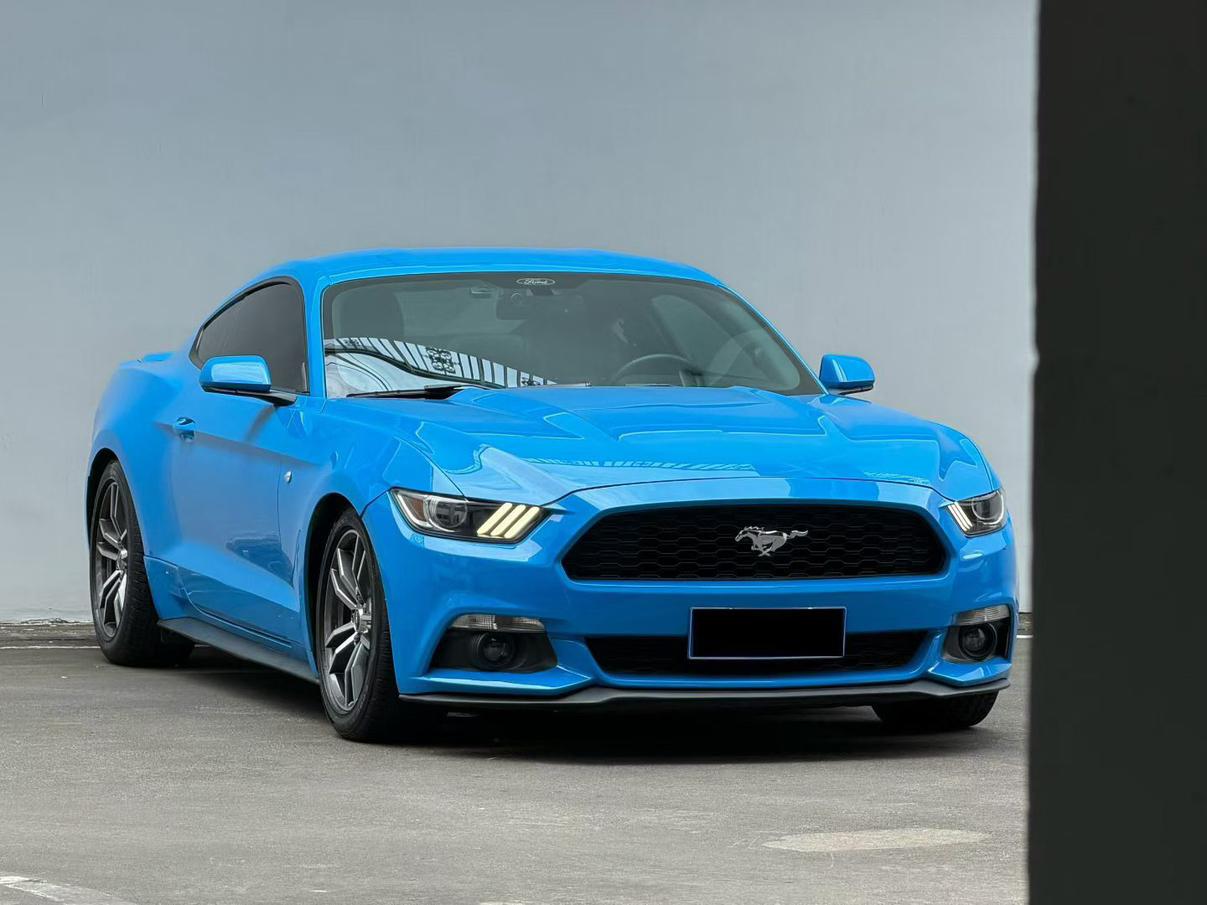 Ford Mustang Mach-E 2017 thumb 10