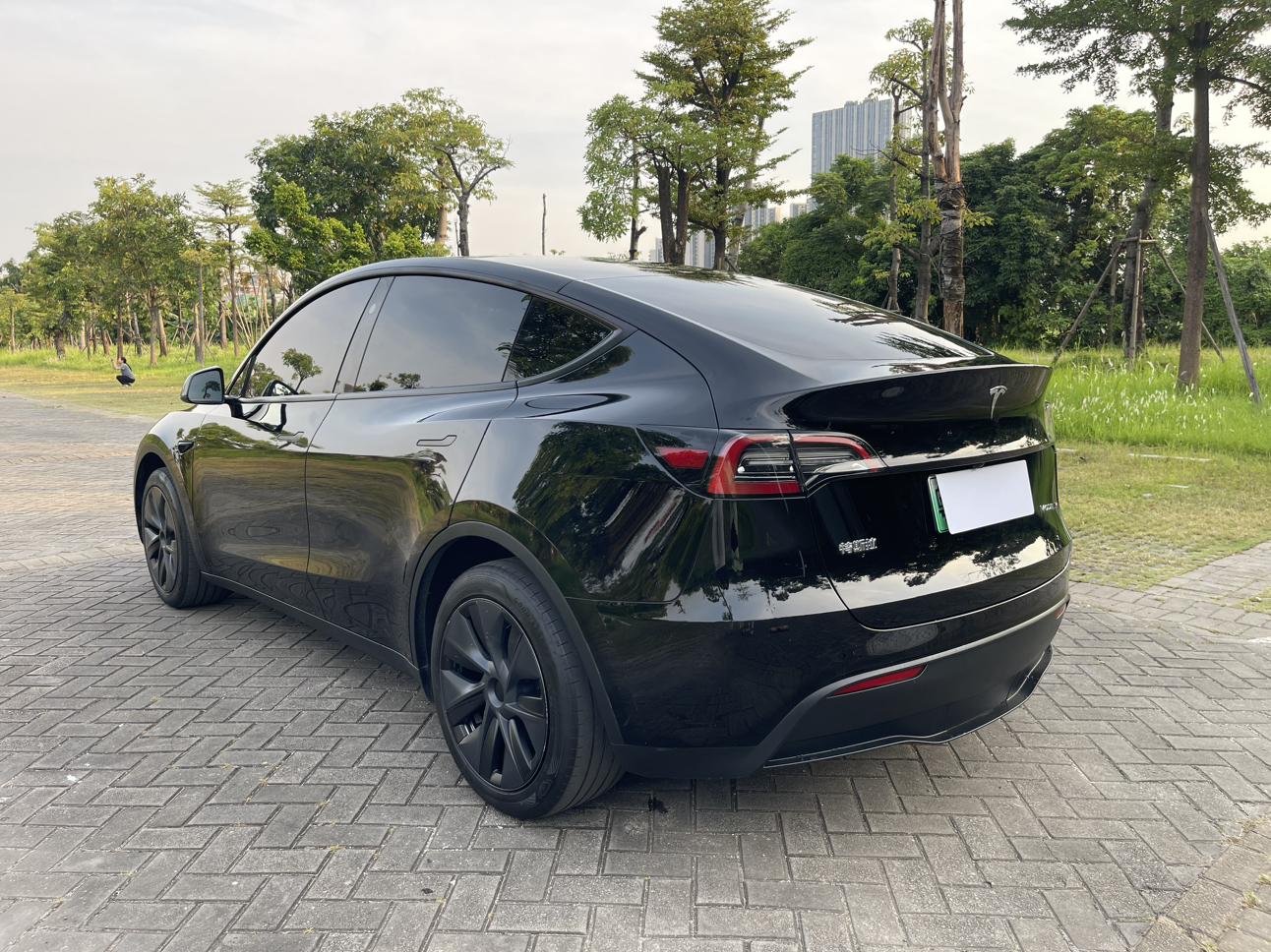 Tesla Model Y 2024 thumb 2