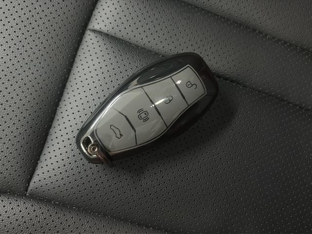 Hongqi HS3 2023 thumb 9