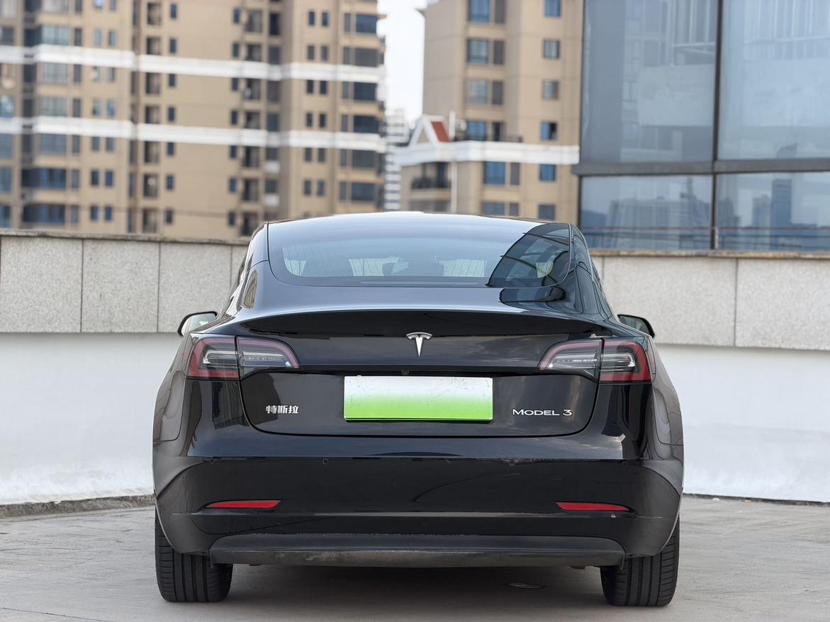 Tesla Model 3 2020 thumb 4