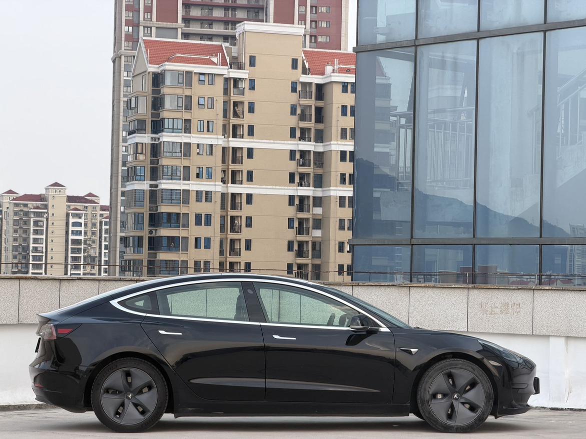 Tesla Model 3 2020 thumb 6