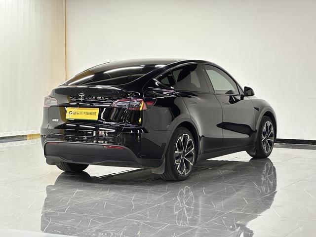 Tesla Model Y 2023 thumb 5