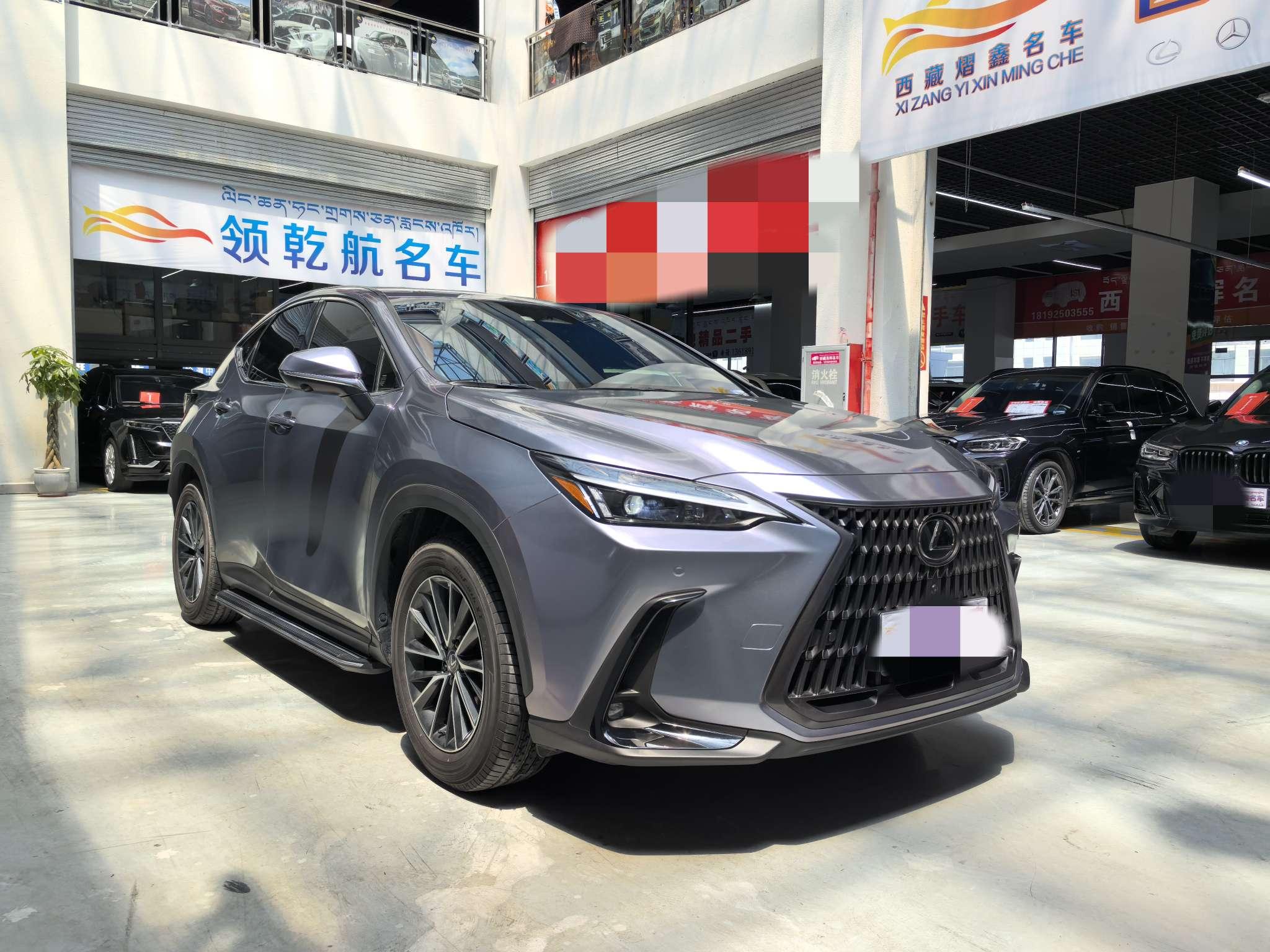 Lexus NX 2025 thumb 11