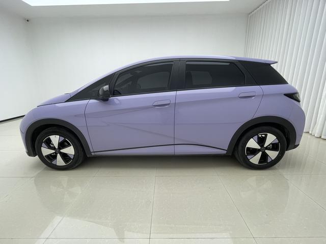 BYD Dolphin 2023 thumb 2