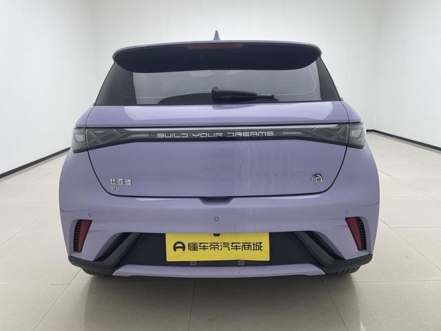 BYD Dolphin 2023 thumb 4