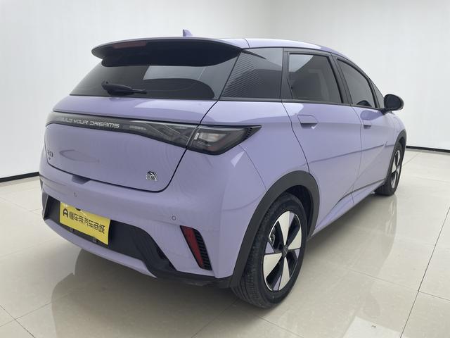 BYD Dolphin 2023 thumb 5