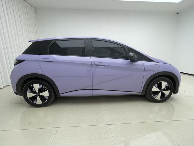BYD Dolphin 2023 thumb 6